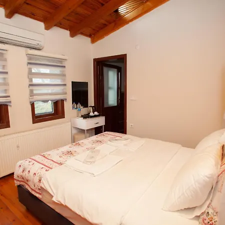 Tias Shelale * Agva (Marmara)