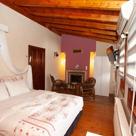 Ξενοδοχείο Tias Shelale *