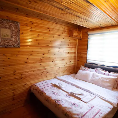 Hotel Tias Shelale *