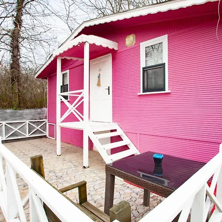 Tias Shelale Agva (Marmara)