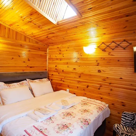 Tias Shelale * Ağva