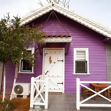 Tias Shelale * Ağva