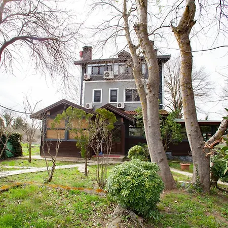 Tias Shelale * Ağva