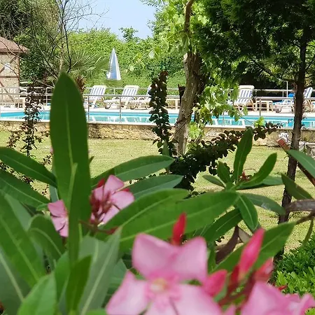 Tias Shelale Otel Ağva