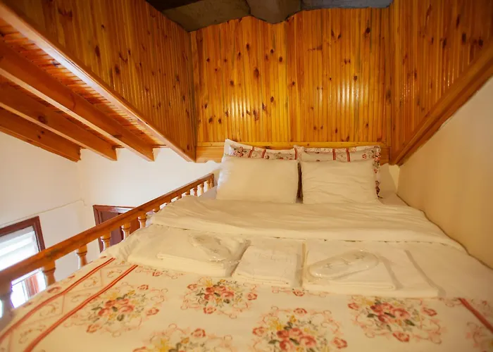 Tias Shelale Hotel *