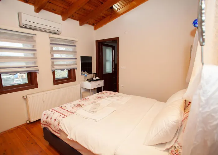 Tias Shelale * Ağva