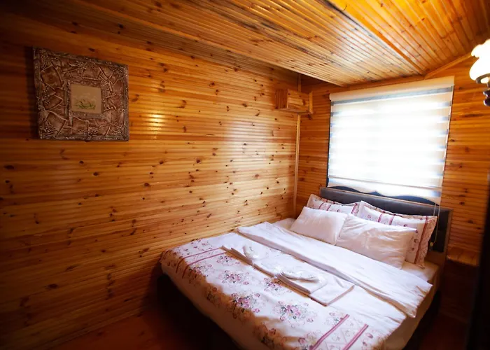 Hotel Tias Shelale *