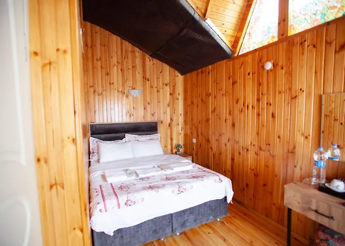 Tias Shelale * Ağva