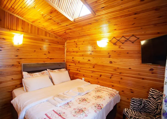 Tias Shelale * Ağva