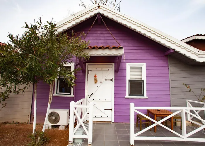 Tias Shelale * Ağva