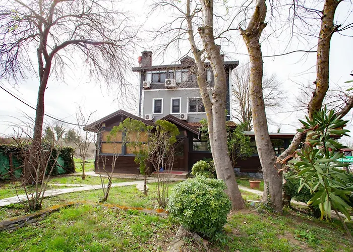 Tias Shelale * Ağva